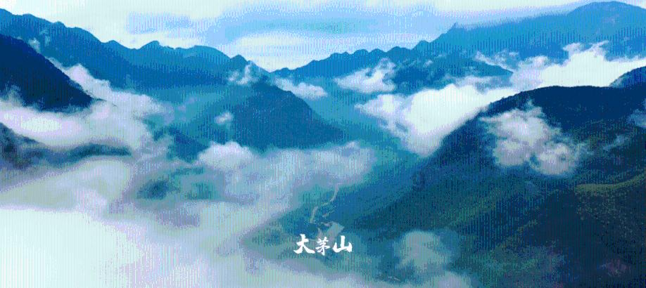 无尽战区·觉醒